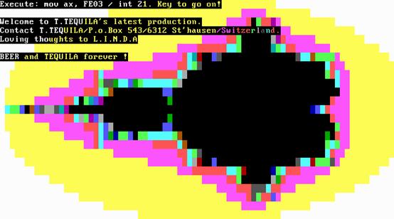 The Tequila virus displays a blocky multi-coloured mandelbrot like graphic with some text above it.